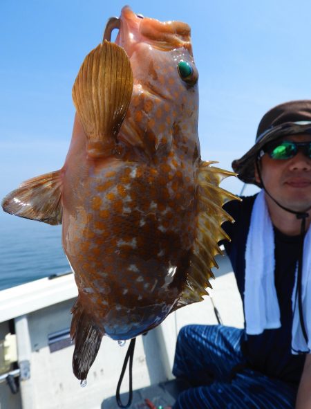 Fisherman Dreams DI 釣…