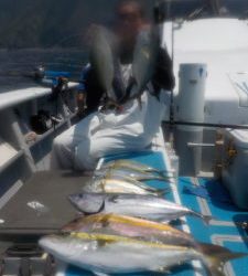舵丸 釣果