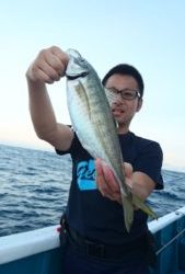 愛海丸 釣果