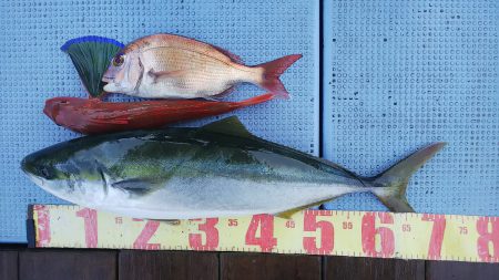 第二常豊丸 釣果