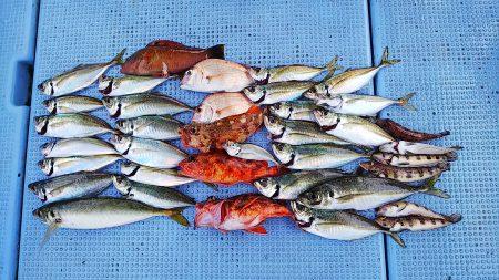 第二常豊丸 釣果