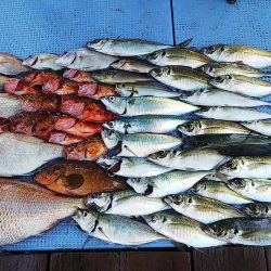 第二常豊丸 釣果