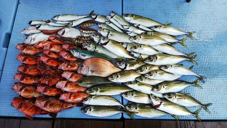 第二常豊丸 釣果