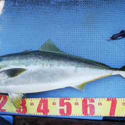 第二常豊丸 釣果