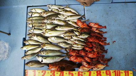 第二常豊丸 釣果