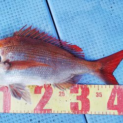 第二常豊丸 釣果