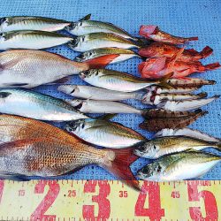 第二常豊丸 釣果