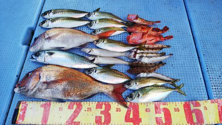 第二常豊丸 釣果