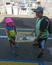 和歌山マリーナシティ釣り公園 釣果