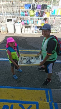 和歌山マリーナシティ釣り公園 釣果