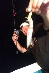 愛海丸 釣果