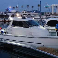 フィッシングボートACE(エース) 釣果