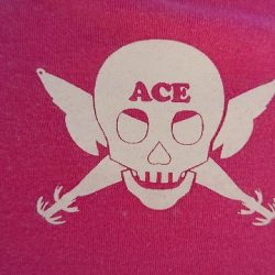 フィッシングボートACE（エース） 釣果