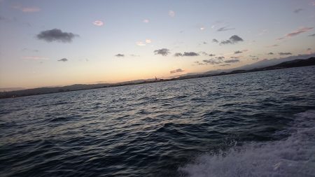 フィッシングボートACE(エース) 釣果