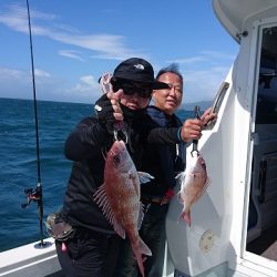 フィッシングボートACE(エース) 釣果