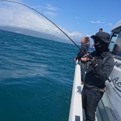 フィッシングボートACE(エース) 釣果