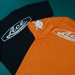 フィッシングボートACE（エース） 釣果