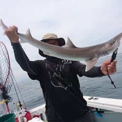 フィッシングボートACE（エース） 釣果