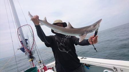 フィッシングボートACE（エース） 釣果