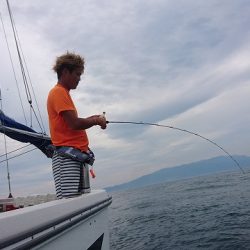 フィッシングボートACE(エース) 釣果