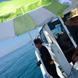 フィッシングボートACE(エース) 釣果