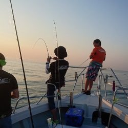 フィッシングボートACE（エース） 釣果