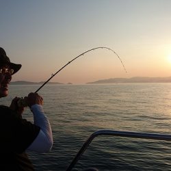 フィッシングボートACE（エース） 釣果