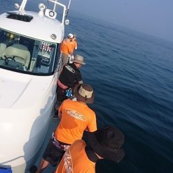 フィッシングボートACE（エース） 釣果