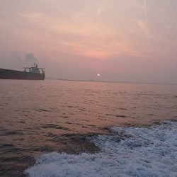 フィッシングボートACE(エース) 釣果