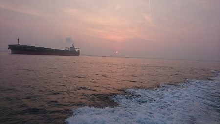 フィッシングボートACE(エース) 釣果