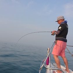 フィッシングボートACE(エース) 釣果