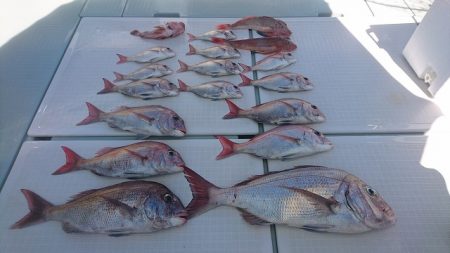 フィッシングボートACE(エース) 釣果