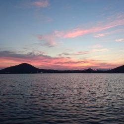 フィッシングボートACE(エース) 釣果