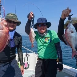 フィッシングボートACE(エース) 釣果