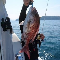 フィッシングボートACE(エース) 釣果