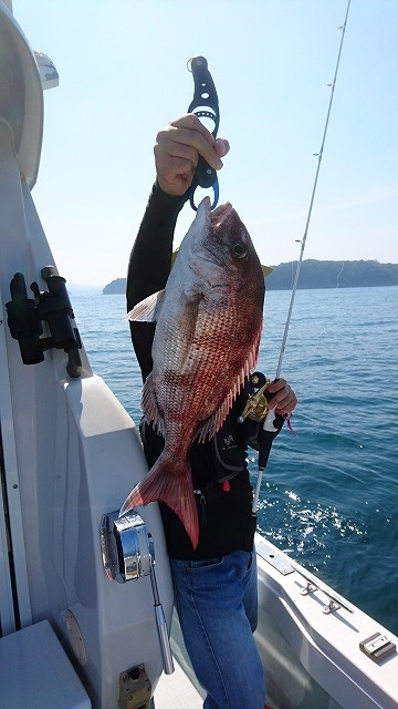フィッシングボートACE(エース) 釣果