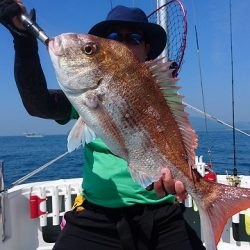 フィッシングボートACE(エース) 釣果