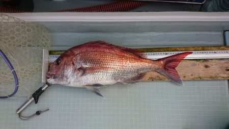 フィッシングボートACE（エース） 釣果