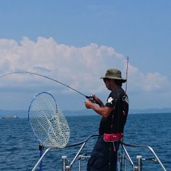 フィッシングボートACE(エース) 釣果