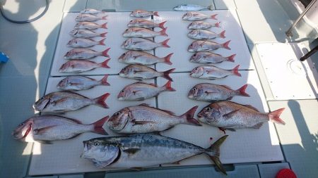 フィッシングボートACE(エース) 釣果