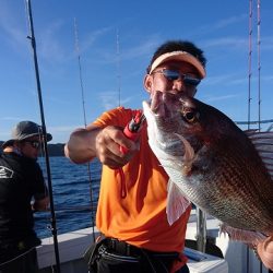 フィッシングボートACE(エース) 釣果