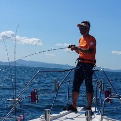 フィッシングボートACE(エース) 釣果