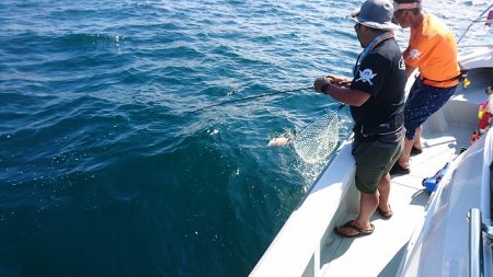 フィッシングボートACE(エース) 釣果