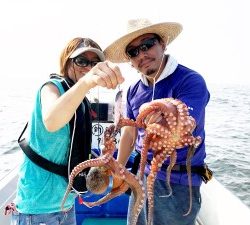 THESEAMAN(ザシーマン) 釣果