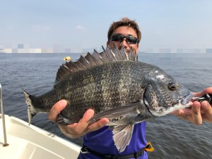 THESEAMAN(ザシーマン) 釣果