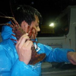 磯部釣船 直栄丸 釣果