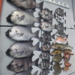 磯部釣船 直栄丸 釣果