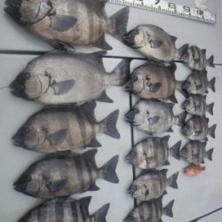 磯部釣船 直栄丸 釣果