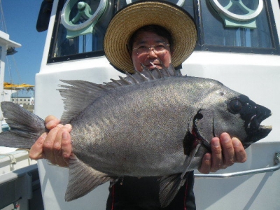 磯部釣船 直栄丸 釣果