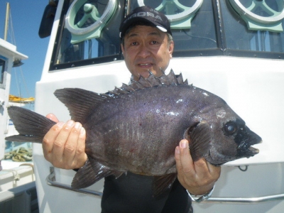 磯部釣船 直栄丸 釣果